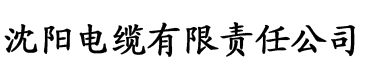 久久爱电视剧电缆厂logo